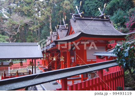 初詣の頃の枚岡神社 99493119
