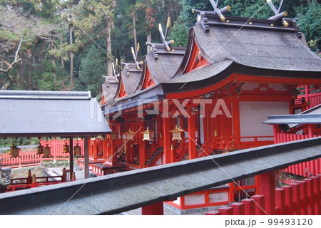 初詣の頃の枚岡神社 初詣の頃の枚岡神社 99493120