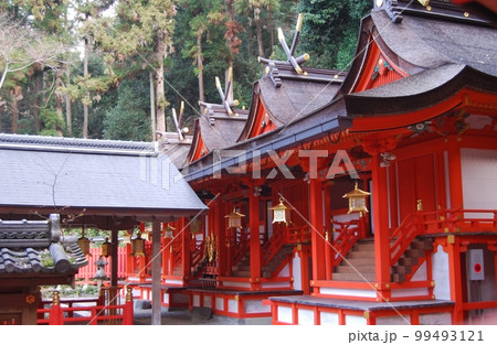 初詣の頃の枚岡神社 99493121