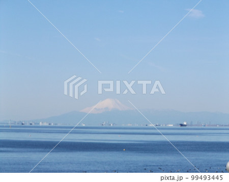 雪を被った稲毛の浜から見た富士山 雪を被った稲毛の浜から見た富士山 99493445
