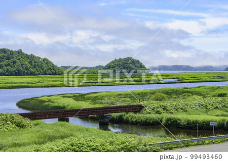 道東厚岸の別寒辺牛（べかんべうし）湿原 99493460