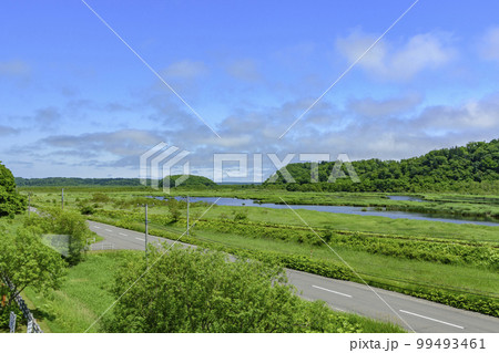 道東厚岸の別寒辺牛(べかんべうし)湿原 道東厚岸の別寒辺牛(べかんべうし)湿原 99493461