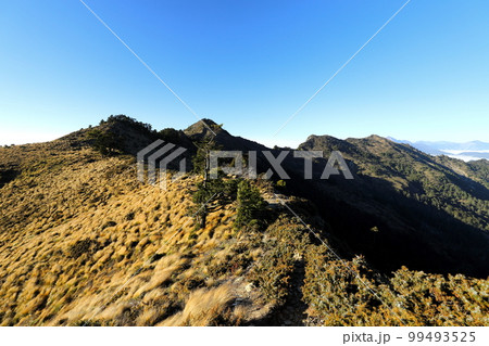 山脈 山並み 山並 99493525