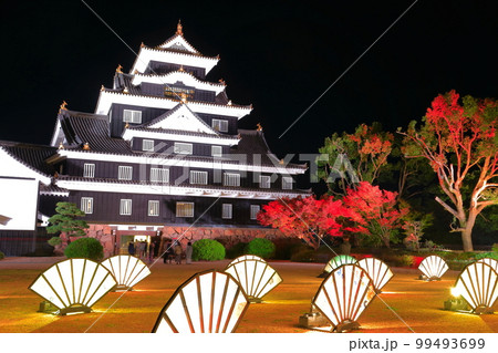 【岡山県】岡山城の紅葉ライトアップ（令和の大改修後） 99493699