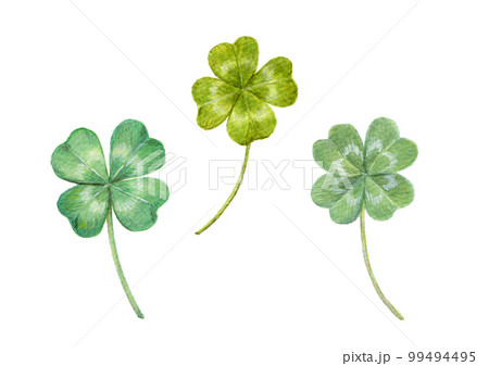 Four-leaf clover watercolor illustration - Stock
