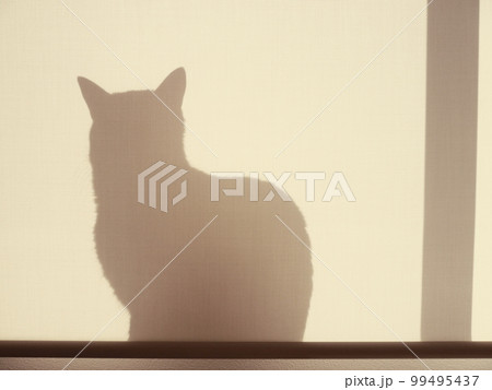シルエット猫さん シルエット猫さん 99495437