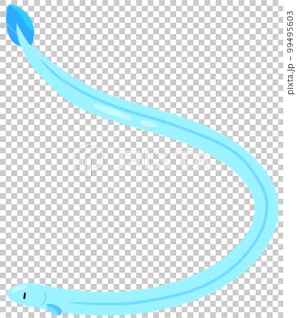 シラスウナギ 99495603