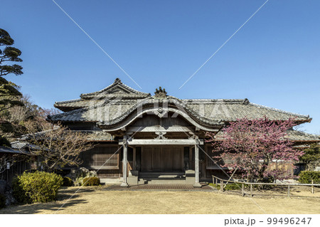 旧鍋島家住宅（鍋島邸）と緋寒桜【長崎県雲仙市】 99496247