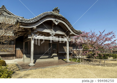 旧鍋島家住宅(鍋島邸)と緋寒桜【長崎県雲仙市】 旧鍋島家住宅(鍋島邸)と緋寒桜【長崎県雲仙市】 99496250