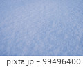 雪模様 99496400