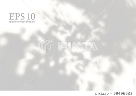 Transparent natural plant shadow. Light effect overlay. Mesh grid. Shadows from branches, plant, foliage and leaves on ground. Presentation your design card, poster Photo realistic vector Transparent natural plant shadow. Light effect overlay. Mesh grid. Shadows from branches, plant, foliage and leaves on ground. Presentation your design card, poster Photo realistic vector 99496632