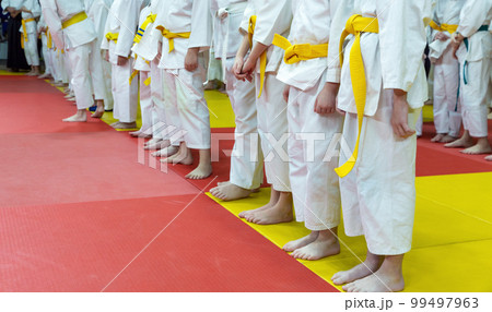 Children in kimono standing in a line on tatami 99497963