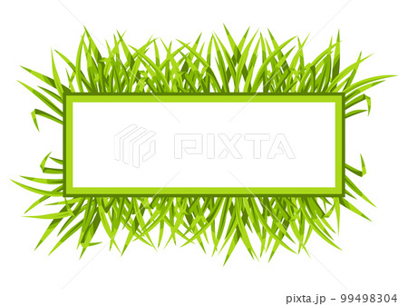 Frame with green grass. Beautiful decorative summer lawn. 99498304