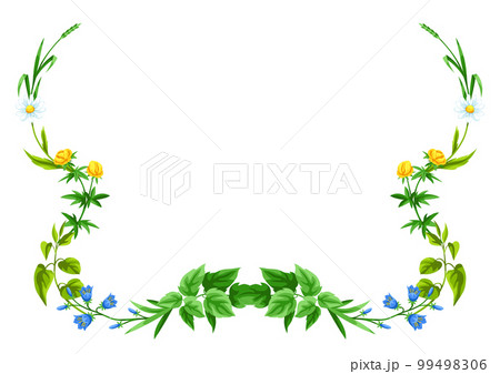 Frame with meadow flowers. Herbs and cereal grass. Beautiful decorative spring plants. 99498306