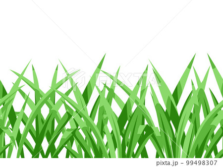 Seamless pattern with green grass. Beautiful decorative summer lawn. 99498307