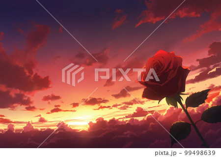 夕焼け空と赤い薔薇 99498639