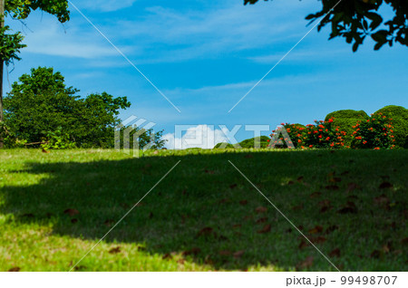 芝生と入道雲 99498707