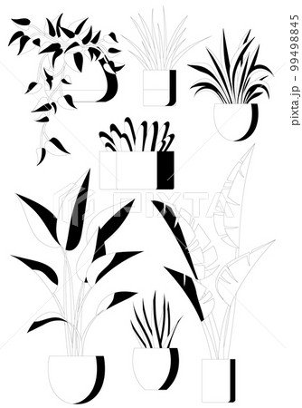 Plant in pot vector flowerpots set in line art style. Different indoor potted decorative houseplants 99498845