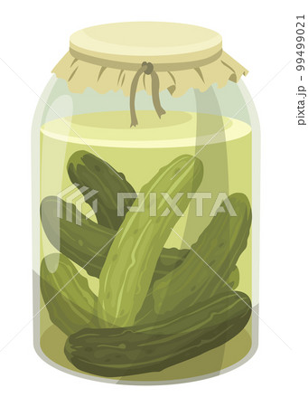 Homemade pickled cucumber. Clip-art of marinated food for packaging, label, menu, signboard or showcase. Fermented veggies, crunch gherkin with salt. Healthy vegetarian food 99499021