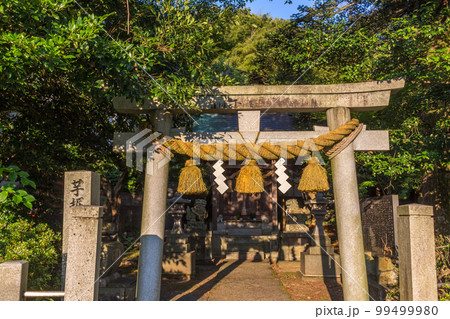 Shimenawa and shide, on torii gate to shrine, Kanazawa, Japan. Shimenawa and shide, on torii gate to shrine, Kanazawa, Japan. 99499980