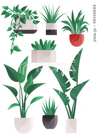 Plant in pot vector flowerpots set. Cartoon flat different indoor potted decorative houseplants Plant in pot vector flowerpots set. Cartoon flat different indoor potted decorative houseplants 99500689