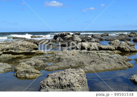 奇岩怪石の磯が続く 庄内海岸の岩場風景 99501538