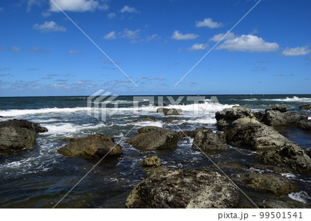 奇岩怪石の磯が続く 庄内海岸の岩場風景 99501541