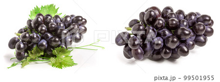 bunch of blue grapes with leaf isolated on white background 99501955