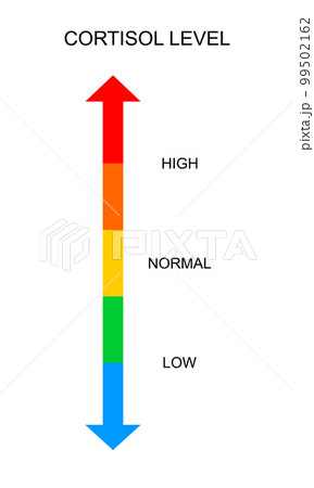 Cortisol meter vertical scale. Body stress response levels chart from low to high isolated on white background. Vector flat illustration Cortisol meter vertical scale. Body stress response levels chart from low to high isolated on white background. Vector flat illustration 99502162