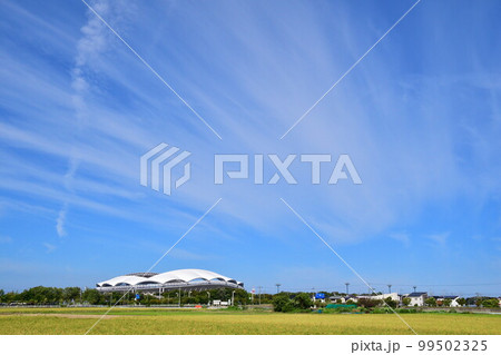 ビッグスワンと田園風景（新潟県） 99502325