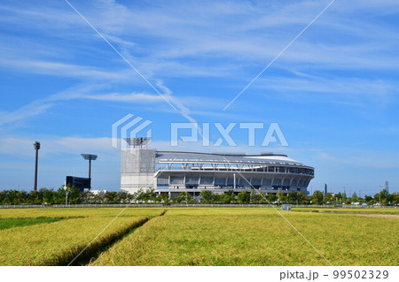 エコスタジアムと田園風景（新潟県） 99502329