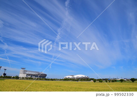 ビッグスワンとエコスタと田園風景（新潟県） 99502330