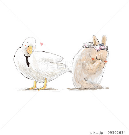 アヒル ウサギ かわいい 99502634