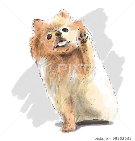 犬 子犬 図 99502635