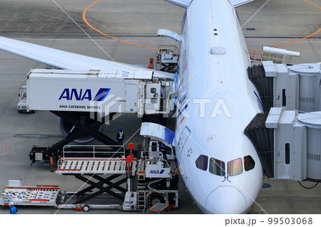 出発準備の旅客機　貨物の積み込み、ボーディングブリッジの接続 99503068