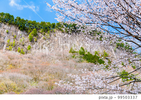 奈良 屏風岩公苑　～満開の山桜～ 99503337