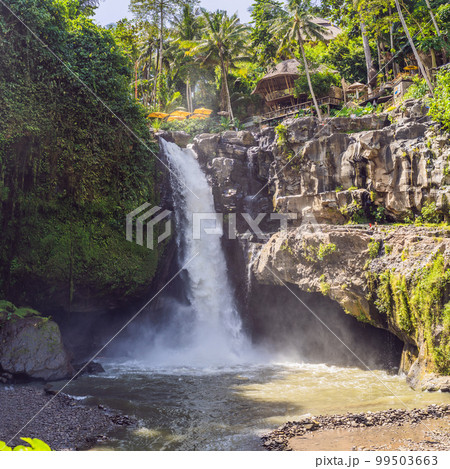 Tegenungan Waterfall near Ubud, Bali, Indonesia. Tegenungan Waterfall is a popular destination for tourists visiting Bali, Indonesia 99503663
