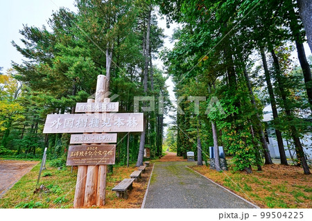 三浦綾子記念文学館/外国樹種見本林　（北海道旭川市） 99504225