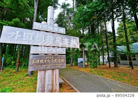 三浦綾子記念文学館/外国樹種見本林 (北海道旭川市) 三浦綾子記念文学館/外国樹種見本林 (北海道旭川市) 99504226