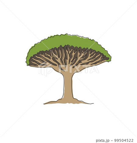 Single continuous line drawing beauty and exotic dragon blood tree for home wall art decor poster print. Dracaena cinnabari tree for national park logo. Modern one line draw design vector illustration 99504522