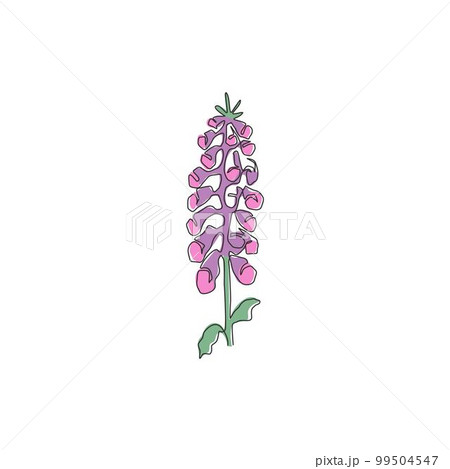 Single one line drawing beauty fresh foxglove for garden logo. Decorative digitalis purpurea flower concept for home wall decor poster art print. Modern continuous line draw design vector illustration Single one line drawing beauty fresh foxglove for garden logo. Decorative digitalis purpurea flower concept for home wall decor poster art print. Modern continuous line draw design vector illustration 99504547