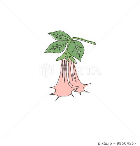 One continuous line drawing of beauty fresh brugmansia for home decor wall art poster print. Decorative angel trumpet flower concept for greeting card. Single line draw design vector illustration 99504557