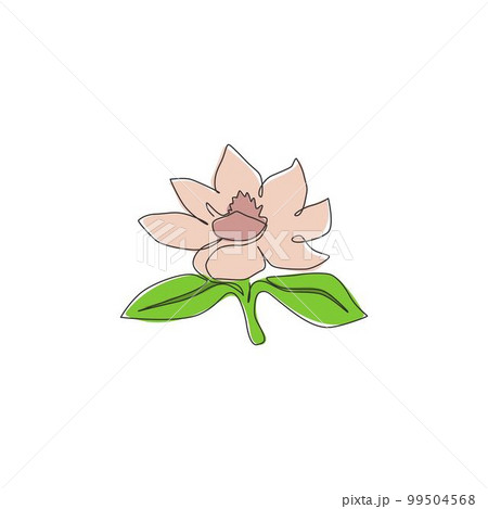 One continuous line drawing beauty fresh magnoliaceae for home decor wall art poster print. Decorative magnolia flower concept for invitation card. Trendy single line draw design vector illustration One continuous line drawing beauty fresh magnoliaceae for home decor wall art poster print. Decorative magnolia flower concept for invitation card. Trendy single line draw design vector illustration 99504568