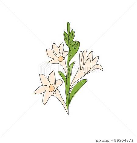 Single one line drawing of beauty fresh agave amica for garden logo. Decorative tuberose flower concept for home art wall decor poster print. Modern continuous line draw design vector illustration 99504573
