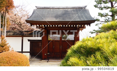 京都 大覚寺 京都 大覚寺 99504819