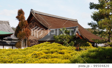 京都 大覚寺 宸殿 京都 大覚寺 宸殿 99504820