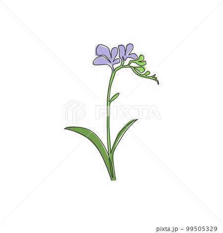 One continuous line drawing of beauty fresh freesia for home wall decor art poster frame. Decorative herbaceous flower concept for wedding invitation card. Single line draw design vector illustration One continuous line drawing of beauty fresh freesia for home wall decor art poster frame. Decorative herbaceous flower concept for wedding invitation card. Single line draw design vector illustration 99505329