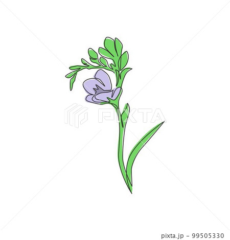 Single one line drawing of beauty fresh freesia for garden logo. Decorative of herbaceous flower concept for home wall decor poster print art. Modern continuous line draw design vector illustration 99505330