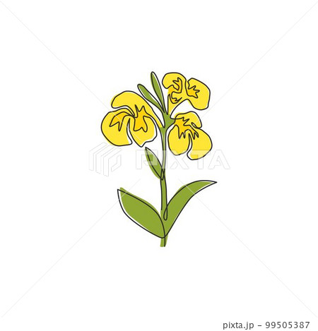 One continuous line drawing beauty fresh canna for garden logo. Printable decorative canna lily flower concept for home decor wall art poster print. Modern single line draw design vector illustration One continuous line drawing beauty fresh canna for garden logo. Printable decorative canna lily flower concept for home decor wall art poster print. Modern single line draw design vector illustration 99505387