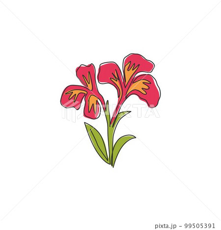 Single continuous line drawing of beauty fresh canna for garden logo. Printable poster decorative canna lily flower concept for wedding invitation card. Modern one line draw design vector illustration 99505391